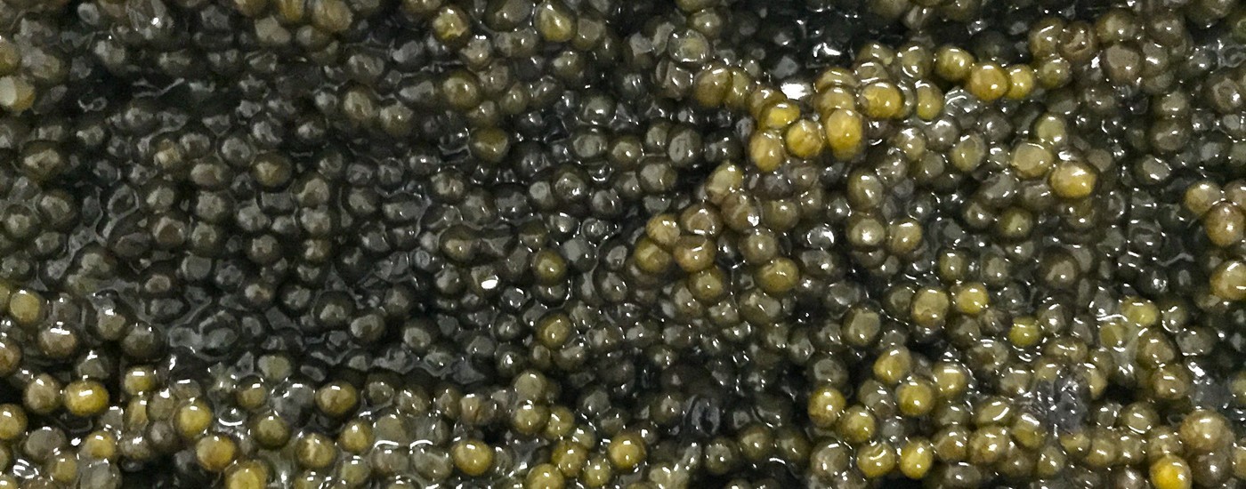 caviar-kristal-chine-c2a9-greta-garbure.jpg